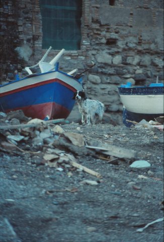 1992 natale in spiaggia 2